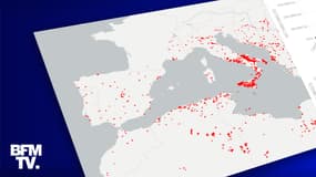 France, Algérie, Grèce... Autour de la Méditerranée, des incendies d'une ampleur inédite en 2021