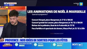 Parade, marché de Noël, concert... nos idées de sorties en Provence pour les fêtes