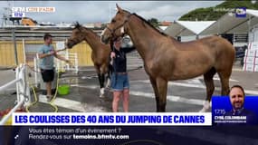 Le 40e Jumping de Cannes débute ce jeudi avec 170 chevaux