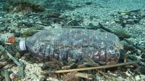 Une bouteille en plastique dans les eaux du parc naturel de Port-Cros, dans le Var, le 1er mai 2017 