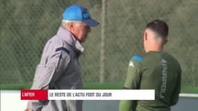 Serie A : "Ancelotti et Naples sont très intéressés par Ibrahimovic" confie Rovera