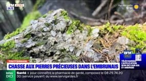 Tout terrain du dimanche 2 juin 2024 - Chasse aux pierres précieuses dans l'Embrunais