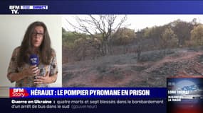 Incendie dans l'Hérault: l'avocate du pompier pyromane rapporte que son client est "est soulagé que cela se soit arrêté", et décrit qu'il s'agit d'"une addiction"