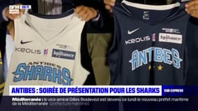 Antibes: soirée de présentation pour les Sharks