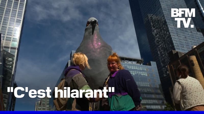 Un pigeon géant de 5 mètres vient d'être installé dans un parc de New York