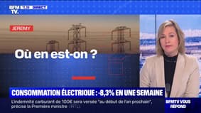 Consommation électrique en France: où en est-on? BFMTV répond à vos questions 