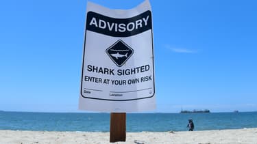 Un panneau avertissant de la présence de requins en Californie. (Photo d'illustration)
