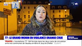 Seine-et-Marne: le Grand Morin sort de son lit et provoque des inondations inattendues