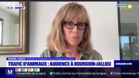L'association One Voice attaque un cirque devant le tribunal de Bourgoin-Jallieu