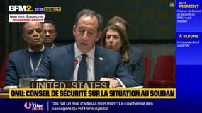 Guerre au Soudan: les États-Unis appellent à accepter le plan de trêve humanitaire de l'administration Trump