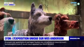 Lyon: une exposition unique sur Wes Anderson