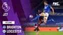 Résumé : Brighton 1-2 Leicester – Premier League (J27)