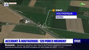 Houtkerque: 120 porcs sont morts dans un accident de la route