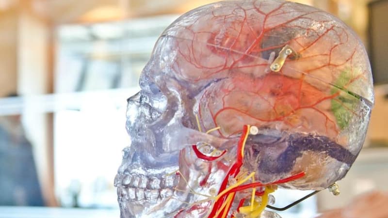 "Peut-il faire tourner Doom?": des chercheurs ont connecté des neurones humains à une puce, ils leur ont ensuite appris à jouer au célèbre jeu de tir, en seulement une semaine