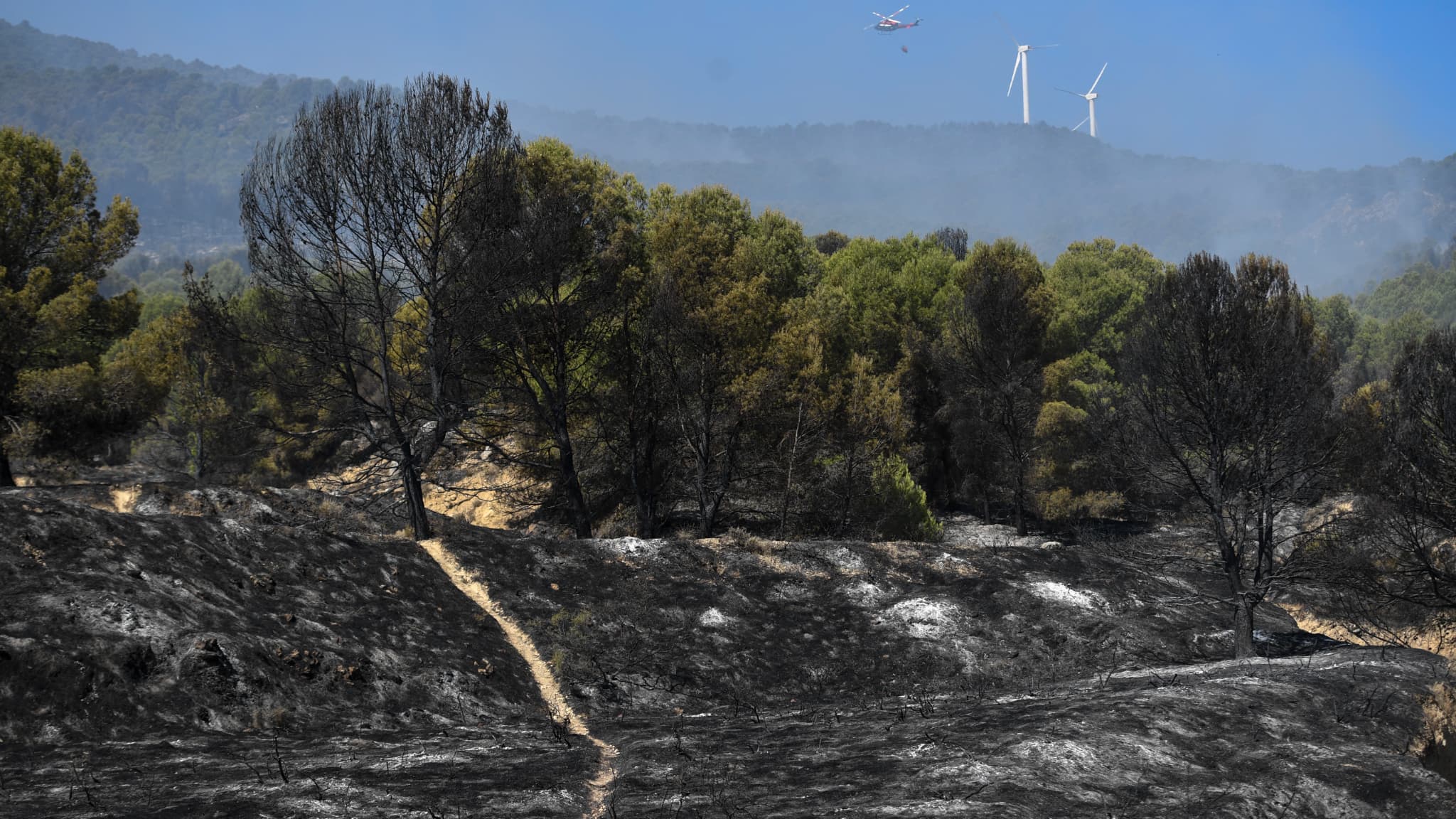 Vue du sinistre près de Saragosse, le 15 août. Vue du sinistre près de Saragosse, le 15 août.