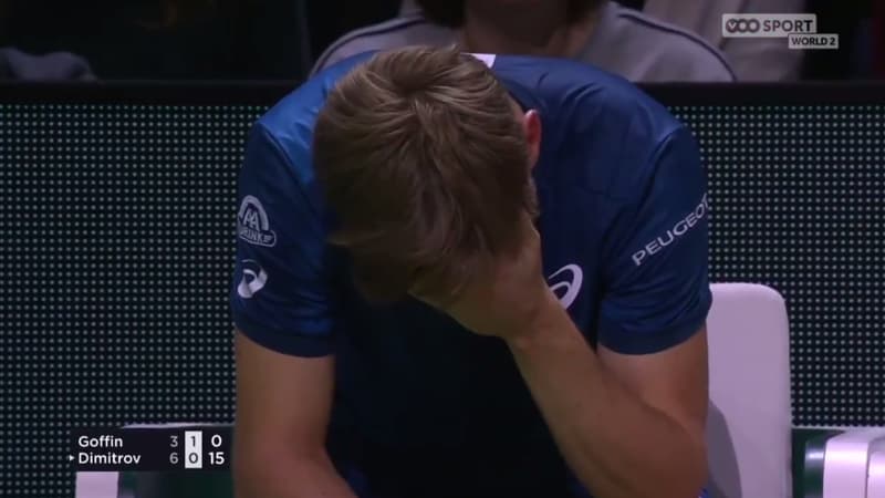 David Goffin
