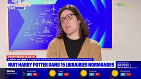 Une nuit Harry Potter est organisée dans 15 librairies normandes