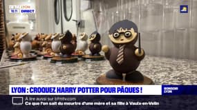 Lyon : croquez Harry Potter pour Pâques !