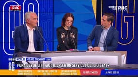 Punaises de lit : "Le ministre a menti, les transports sont attaqués !"