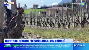 Droits de douane: le vin Haut-Alpin touché