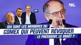 FFF : Aulas, Keller, Labrune... qui sont les membres du Comex qui peuvent révoquer Le Graët ?