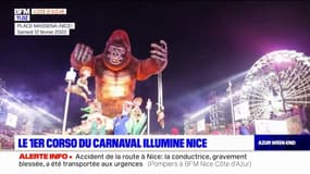 Alpes-Maritimes: le premier corso du carnaval illumine Nice
