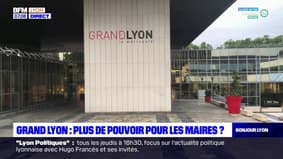 Grand Lyon: le Sénat préconise de donner plus de pouvoirs aux maires