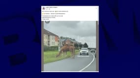 Une capture d'écran d'une vidéo de Infos Trafic Le Havre, mardi 29 juillet 2025. 