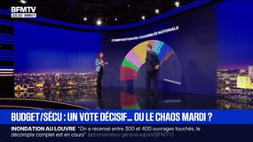 Budget 2026: retour sur la composition de l'Assemblée nationale pour le vote décisif de ce mardi