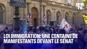 Loi immigration: une centaine de manifestants rassemblés devant le Sénat 