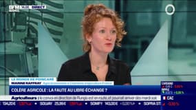 Colère agricole : la faute au libre-échange ?