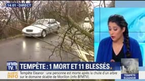 Tempête Eleanor: une personne est morte après la chute d'un arbre sur le domaine skiable de Morillon