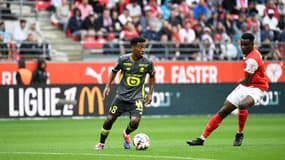 Angel Gomes avec Lille durant le match contre Reims, le 17 août 2024