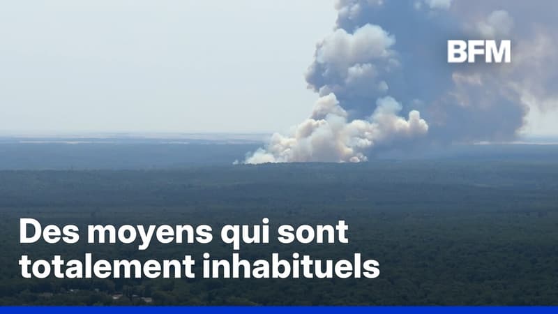 Incendie de Fontainebleau: les importants feux de forêt vus du ciel