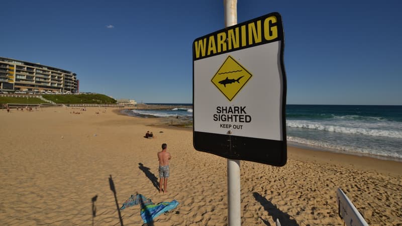 Panneau de signalisation indiquant la présence de requins en Australie (illustration)