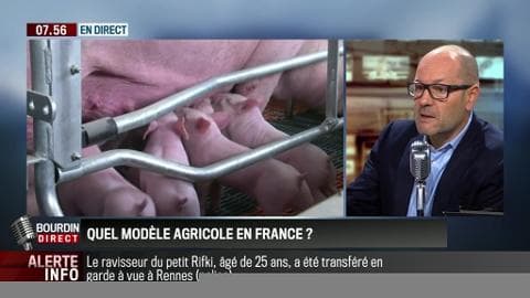 Perri & Neumann: Crise porcine: Quel modèle agricole pour la France ? - 17/08