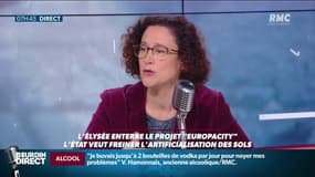 "Europa City": le gouvernement envisage d'utiliser les terres pour de l'agriculture bio et de "circuits courts" pour fournir les cantines scolaires
