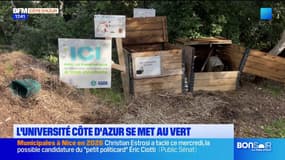 L'université Côte d'Azur se met au vert