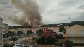 Incendie de la garigue à Narbonne - Témoins BFMTV