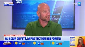 "Un été particulièrement calme pour le moment": peu de feu de forêts dans les Alpes du Sud cette saison