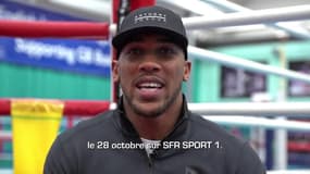 Boxe : Le combat Joshua - Takam à suivre sur SFR Sport 1