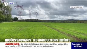 Rodéos agricoles: le fléau des agriculteurs lorsque les beaux jours reviennent 