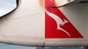 Les passagers d'un vol entre le nord de l'Australie et la Papouasie-Nouvelle-Guinée ont eu la surprise d'apercevoir de leur hublot un python accroché à l'une des ailes de l'appareil. Le serpent n'a pas survécu au vol. /Photo prise le 10 janvier 2013/REUTE
