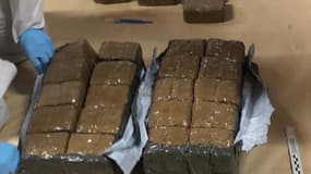 Les gendarmes ont réalisé une importante saisie de produits  stupéfiants.