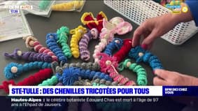 Alpes-de-Haute-Provence: Marie-Jeanne propage ses "chenilles du bonheur"