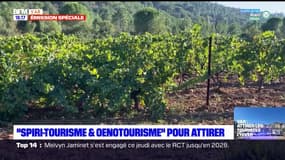 Var: le "spiri-tourisme" et l'"œnotourisme" pour rester attractif l'hiver