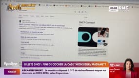 Billets SNCF: fini de cocher la case "Monsieur/Madame" ?