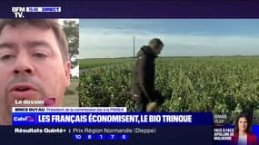Inflation: face à la baisse des ventes des produits bio, "les agriculteurs ne font plus le choix" de se convertir selon Brice Guyau, président de la commission bio de la FNSEA
