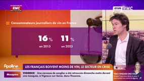 Les Français boivent moins de vin, le secteur en crise