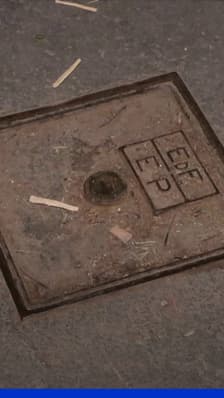 Des chiens électrisés en marchant sur une plaque à Paris, 30 Millions d'Amis porte plainte